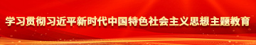 男女生搓搓搓视频免费看片学习贯彻习近平新时代中国特色社会主义思想主题教育